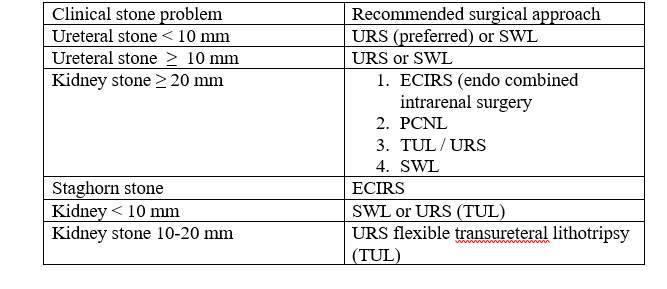 https://www.storzmedical.com/images/blog/Miyazawa.PNG