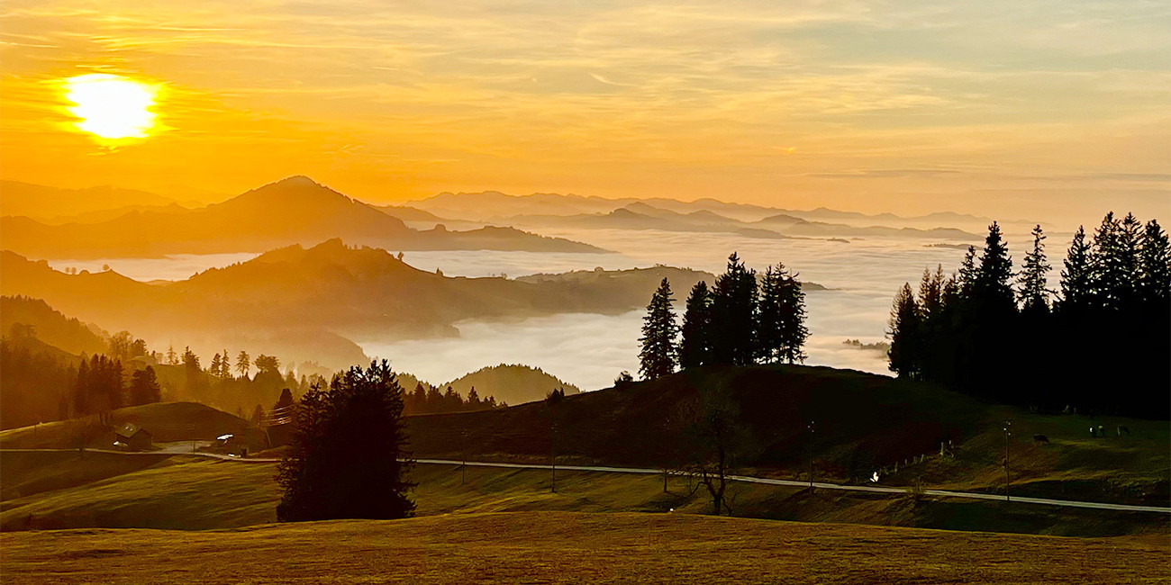 Season’s greetings and a happy new year!